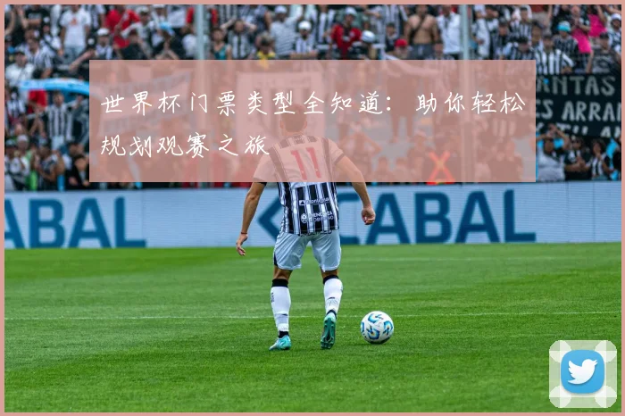 世界杯门票类型全知道：助你轻松规划观赛之旅
