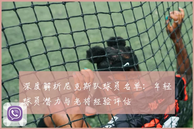 深度解析尼克斯队球员名单：年轻球员潜力与老将经验评估