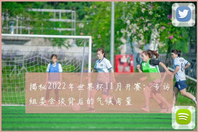 揭秘2022年世界杯11月开赛：专访组委会谈背后的气候考量