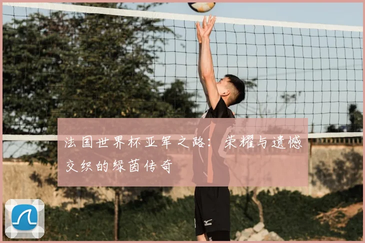 法国世界杯亚军之路：荣耀与遗憾交织的绿茵传奇