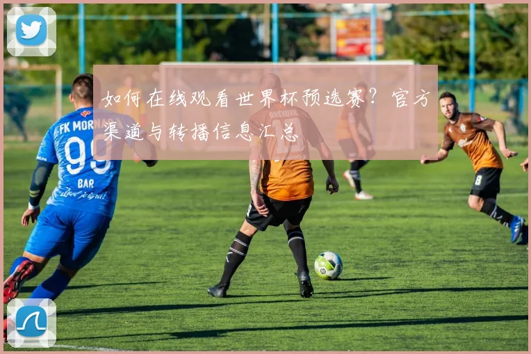 如何在线观看世界杯预选赛？官方渠道与转播信息汇总