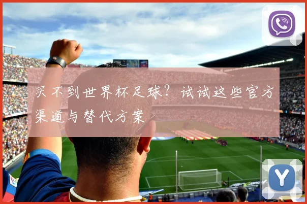 买不到世界杯足球？试试这些官方渠道与替代方案