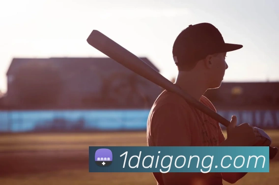 易倍emc发展历程